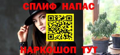 крисы Дубна