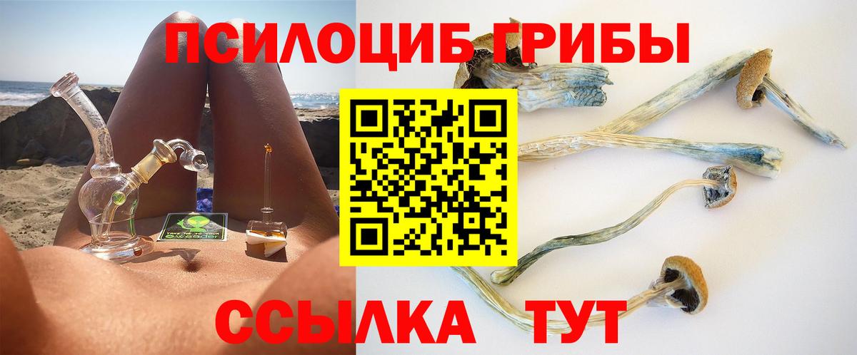 Псилоцибиновые грибы мицелий  Вход с VPN  Нижний Новгород  Псилоцибиновые грибы прущие грибы 